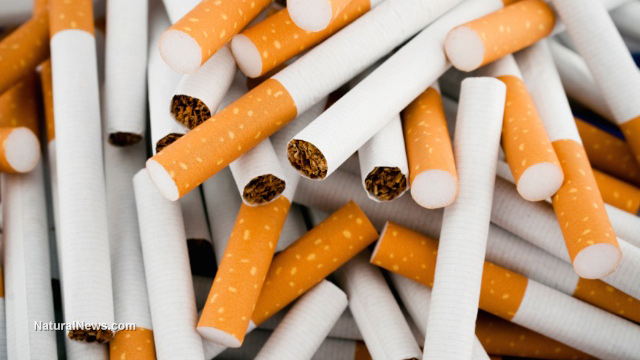 Cigarettes end life early for two out of every three smokers: New study published